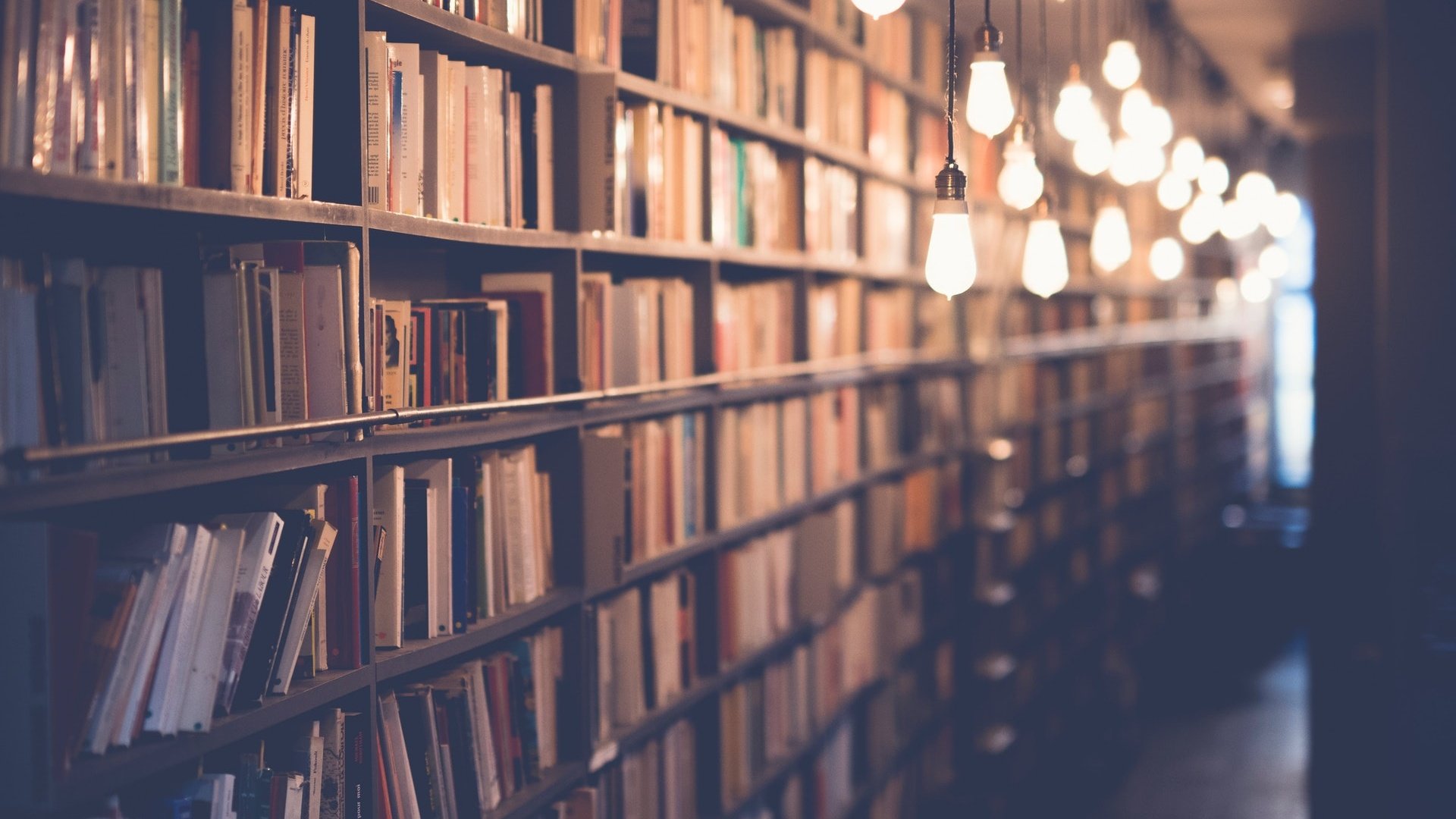 Biblioteka